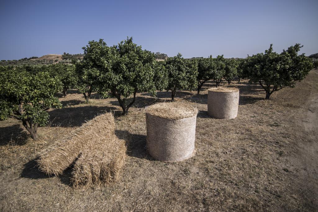 Agriturismo Il Giriatello Crotone Exterior foto